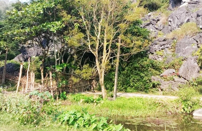 Thông tin từ đường dây nóng